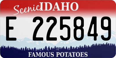 ID license plate E225849