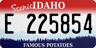 ID license plate E225854