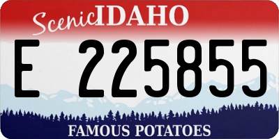 ID license plate E225855