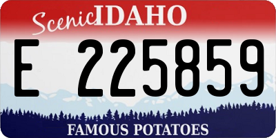 ID license plate E225859