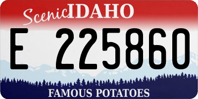 ID license plate E225860
