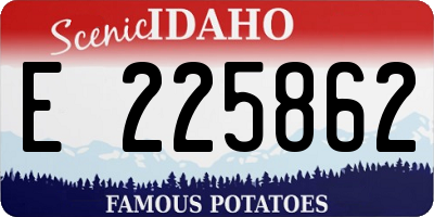 ID license plate E225862