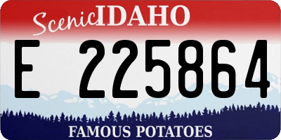 ID license plate E225864