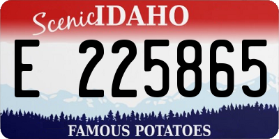 ID license plate E225865