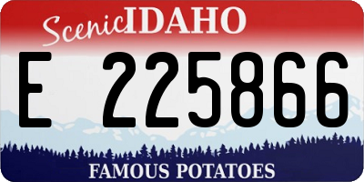 ID license plate E225866