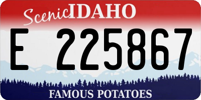 ID license plate E225867