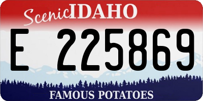 ID license plate E225869