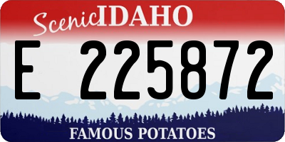 ID license plate E225872