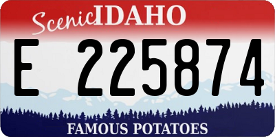 ID license plate E225874