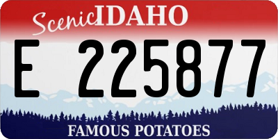 ID license plate E225877