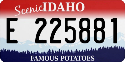 ID license plate E225881