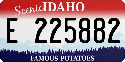 ID license plate E225882