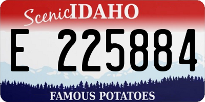 ID license plate E225884