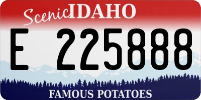 ID license plate E225888
