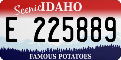 ID license plate E225889