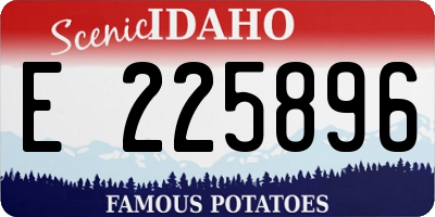 ID license plate E225896