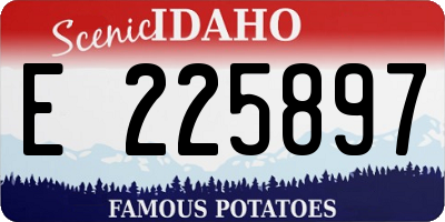 ID license plate E225897