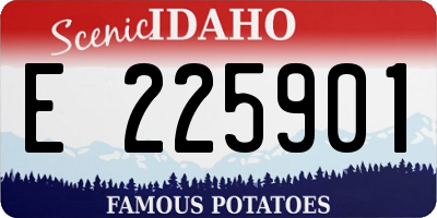 ID license plate E225901