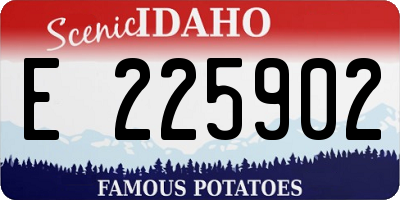 ID license plate E225902