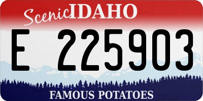 ID license plate E225903