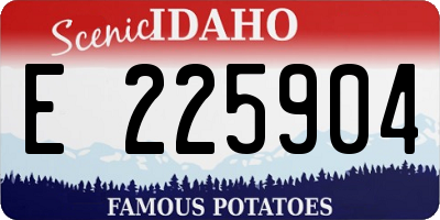 ID license plate E225904