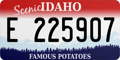 ID license plate E225907