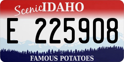 ID license plate E225908