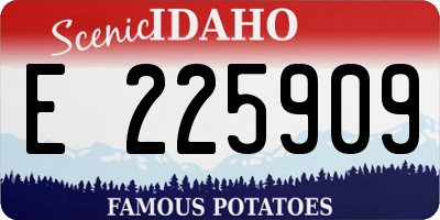 ID license plate E225909