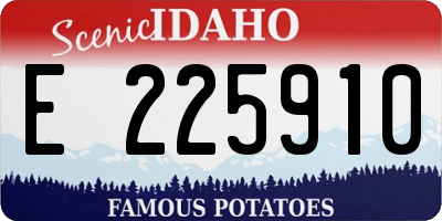 ID license plate E225910