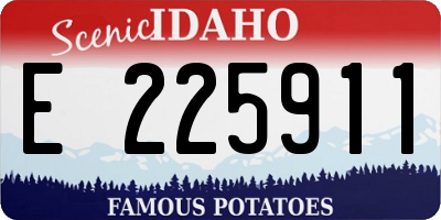 ID license plate E225911