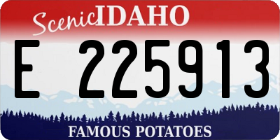 ID license plate E225913