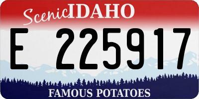 ID license plate E225917