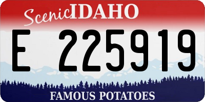 ID license plate E225919