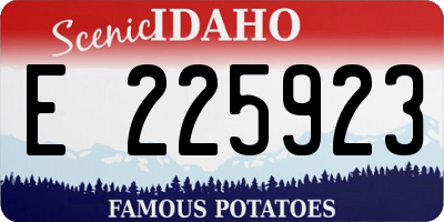 ID license plate E225923