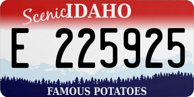 ID license plate E225925