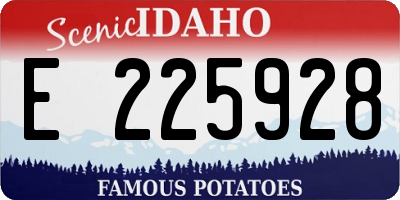 ID license plate E225928