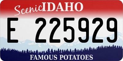 ID license plate E225929