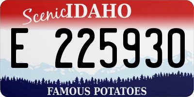 ID license plate E225930