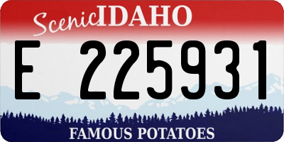 ID license plate E225931