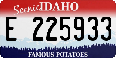 ID license plate E225933