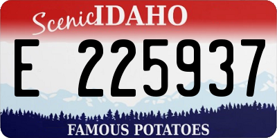 ID license plate E225937