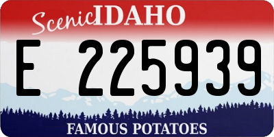 ID license plate E225939