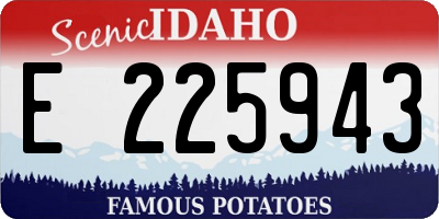 ID license plate E225943