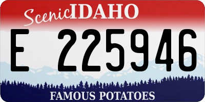 ID license plate E225946