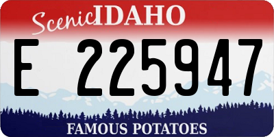 ID license plate E225947