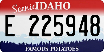 ID license plate E225948