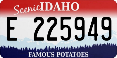 ID license plate E225949