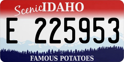 ID license plate E225953