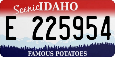ID license plate E225954