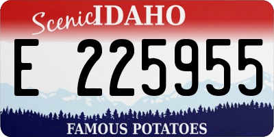 ID license plate E225955